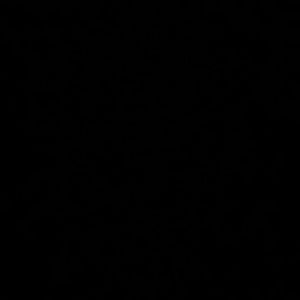 Meet your Posher, Gunnar